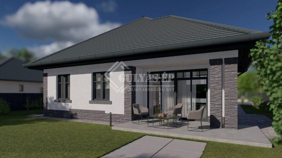 tipus5_grey_10 - Photo