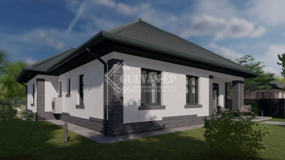 tipus5_grey_11 - Photo