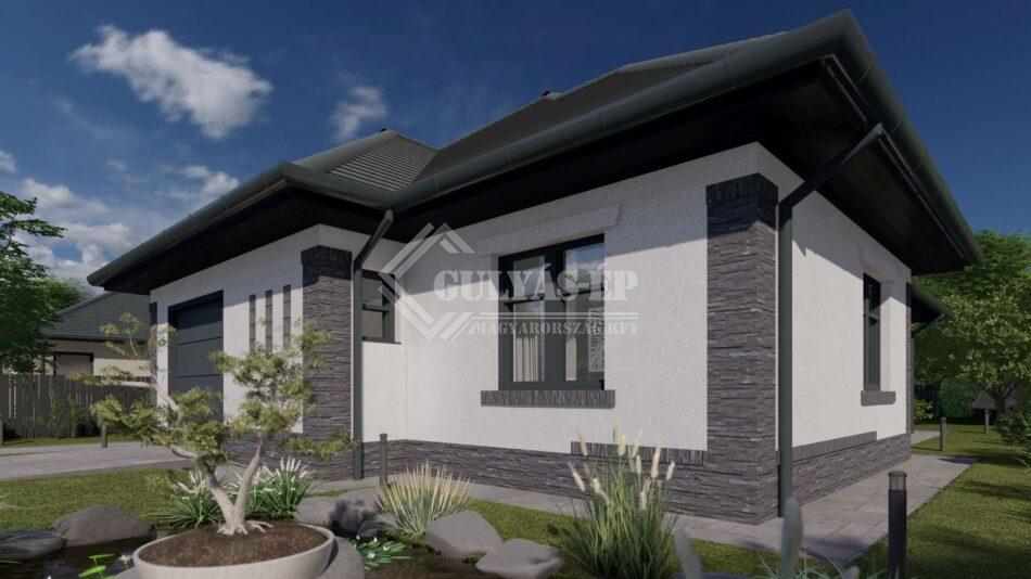 tipus5_grey_23 - Photo