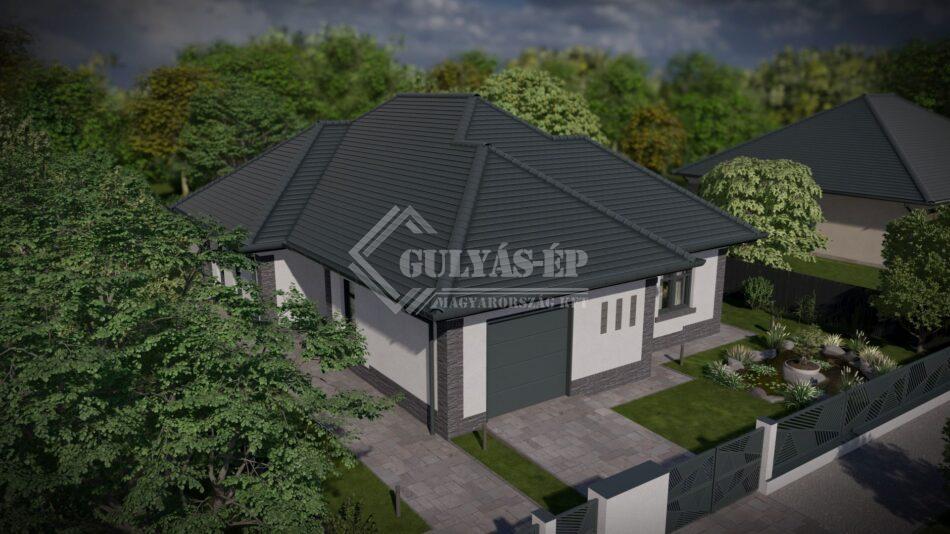 tipus5_grey_24 - Photo