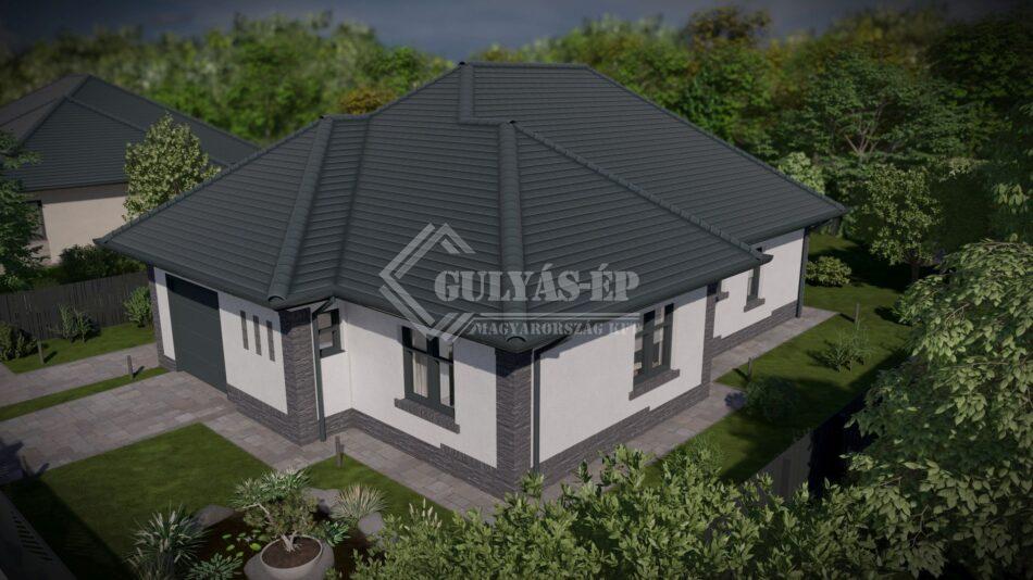 tipus5_grey_25 - Photo