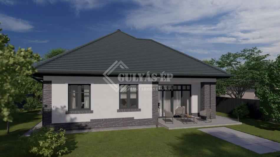 tipus5_grey_9 - Photo