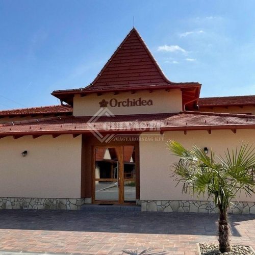 gulyas-ep-orchidea-04